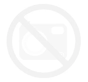 zamiennik Separator HYDROVANE 59891, Hydrovane 59177, Hydrovane 58034, Hydrovane 52841, CECCATO 1070204